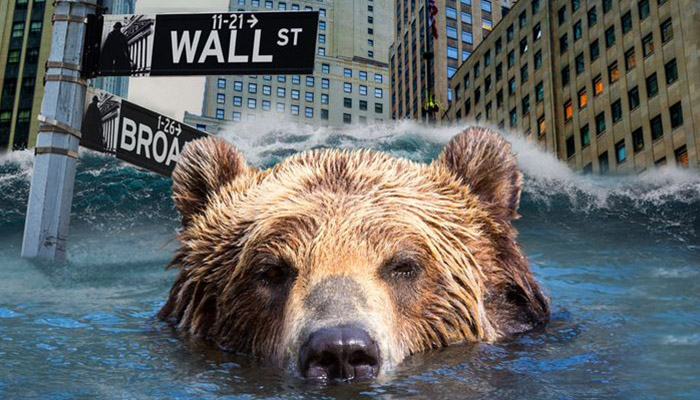 What to Do When the Bear Market Rallies