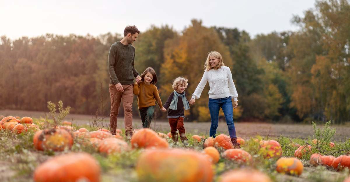 A young family in a pumpkin patch